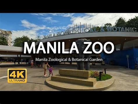 manila zoological and botanical garden tickets|The New Manila Zoo: Everything you need to know .